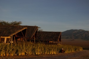 Olduvai Lodge