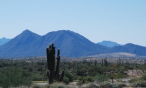 outside phoenix