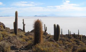 Salar de Uyuni, bolivia