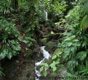 Emerald Pool, Dominica