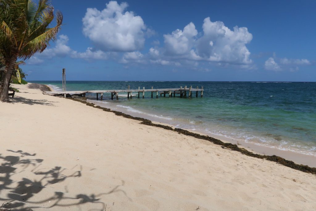 The beach at Camp Bay