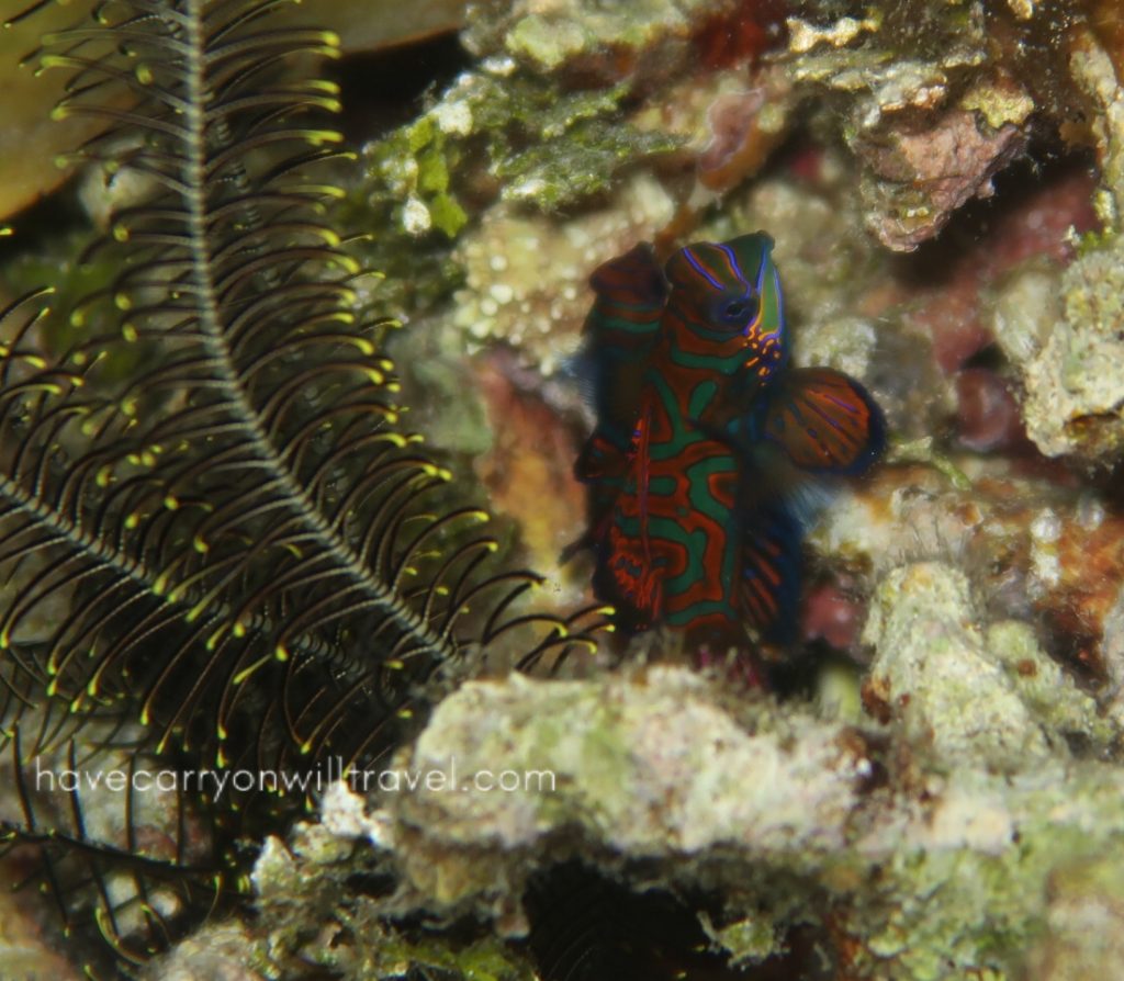 Raja Ampat