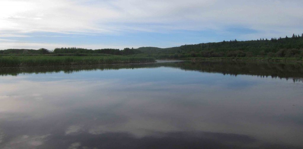 Battle River at Big Knife Provincial Park, Alberta