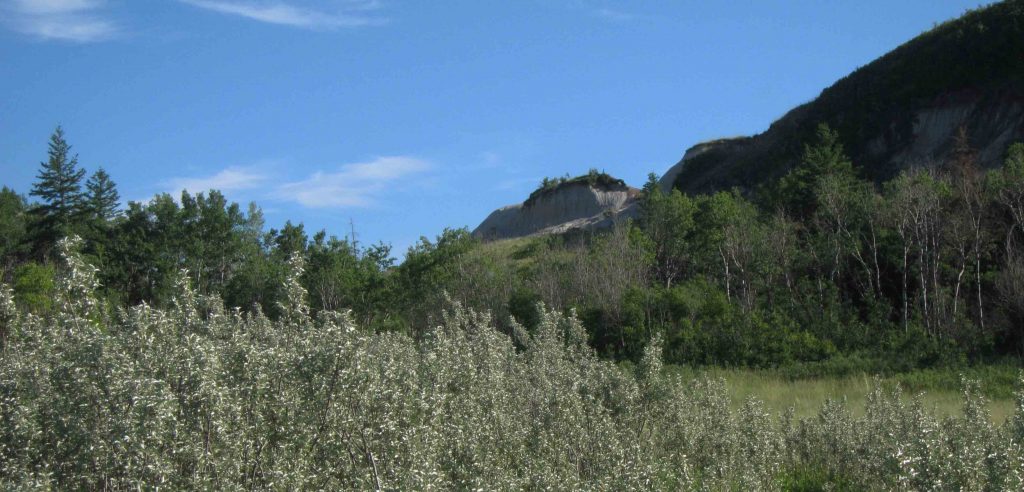 Hoodoo, Big Knife Provincial Park, Alberta