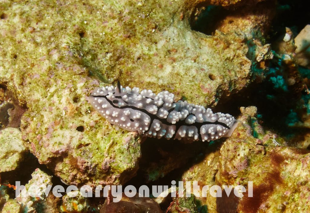 Lembongan, Indonesia