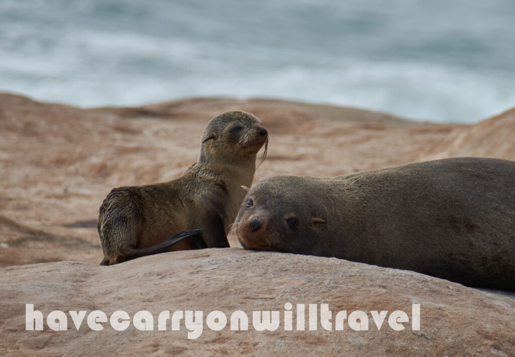 Mowe Bay, Namibia