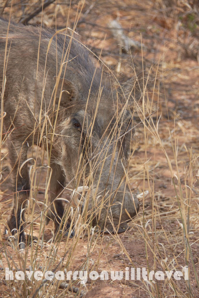 Namibia