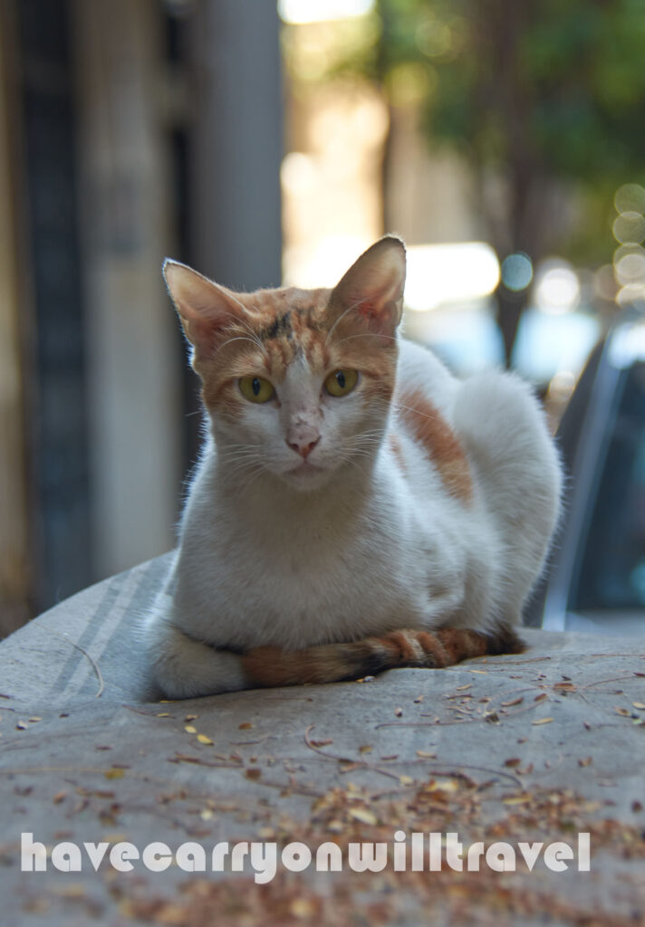 Cairo, Egypt