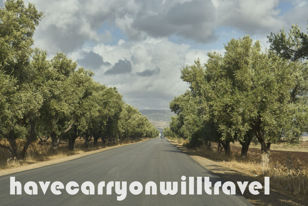 Olive boulevard